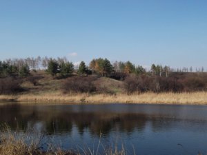 DSCF2947.JPG