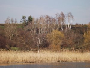 DSCF2948.JPG