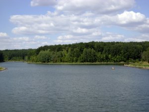 _DSC06470.jpg