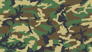 Woodland-Camo.jpg