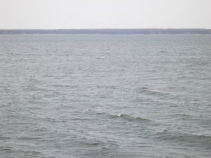 DSCF3160.JPG