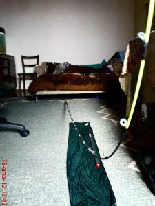DSC01416.JPG