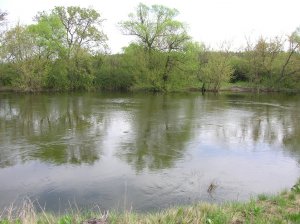 DSCN9027.JPG