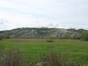 DSCN9009.JPG