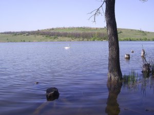 PIC_0191.JPG