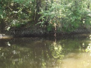 DSCF3772.JPG