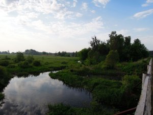 Мжа Ракитное002.jpg