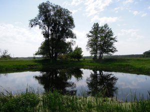 Мжа Ракитное017.jpg