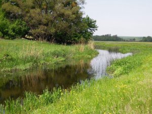 Мжа Ракитное019.jpg