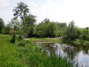 Мжа Ракитное021.jpg