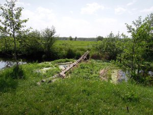 Мжа Ракитное022.jpg