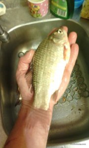 IMG_20170721_224026.jpg