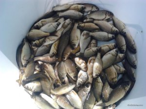 IMG_20170516_125923.jpg