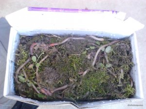 IMG_20170731_133452.jpg