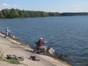IMG_5564.JPG