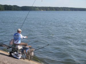 IMG_5561.JPG