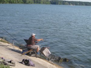 IMG_5570.JPG