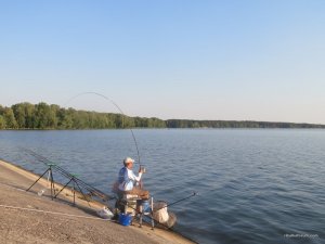IMG_5617.JPG