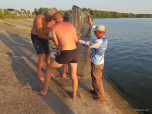 IMG_5641.JPG