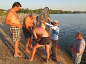IMG_5643.JPG