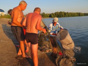 IMG_5648.JPG