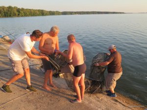IMG_5651.JPG