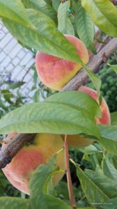20170803_174831.jpg