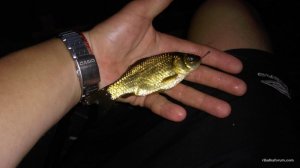 IMG_20170805_202009.jpg