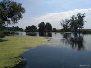 IMG_2017-08-05_104008.jpg