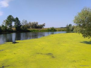 IMG_2017-08-05_104001.jpg