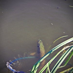 DSCN2317.jpg