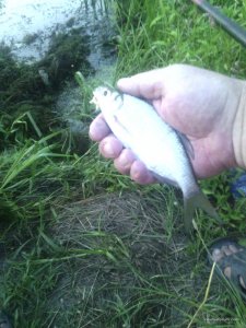 IMG_20170803_202528.jpg