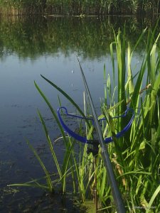 IMG_20170803_174847.jpg