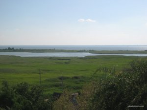 IMG_8411[1].JPG