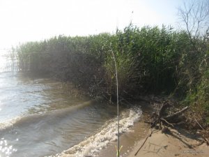IMG_8413[1].JPG