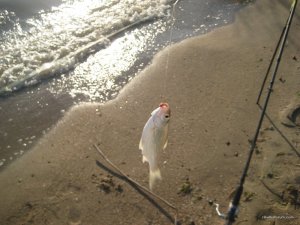 IMG_8415[1].JPG