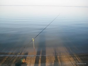 IMG_8420[1].JPG
