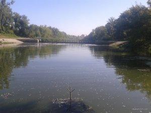 20170811_090213.jpg