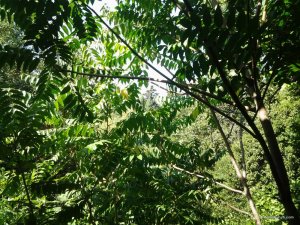 20170812_101321.jpg