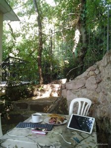 20170811_091006.jpg
