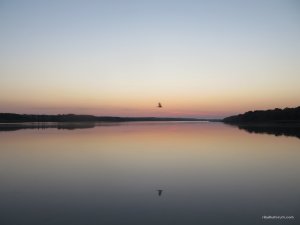 IMG_5745.JPG