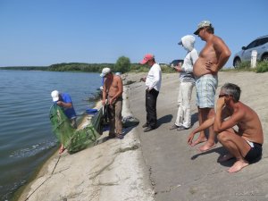 IMG_5802.JPG