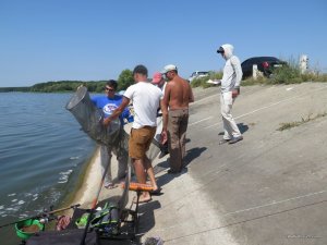 IMG_5805.JPG