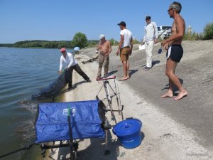 IMG_5808.JPG