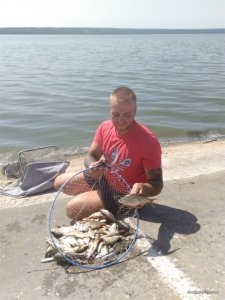 IMG_20170812_134318.jpg