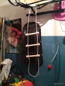 IMG_20170711_171505.jpg