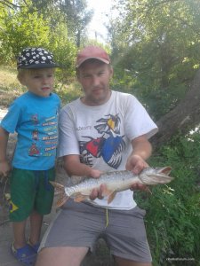 20170810_155352.jpg