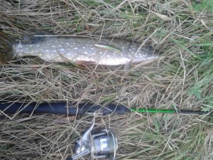 20170816_082142.jpg
