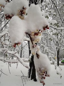 20170419_084410.jpg