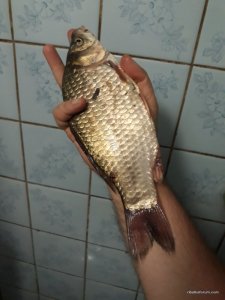 20170818_153115.jpg